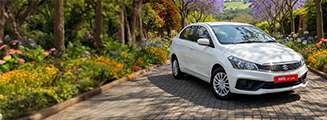 Spring Special Offer image