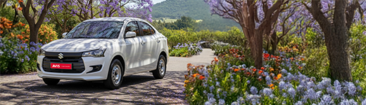 Spring Special Offer image